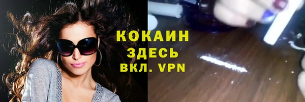 прущий лед Ельня