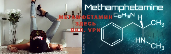 ГАЛЛЮЦИНОГЕННЫЕ ГРИБЫ Дмитриев