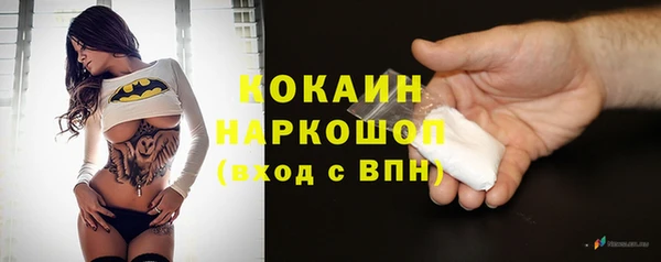 ГАЛЛЮЦИНОГЕННЫЕ ГРИБЫ Дмитриев