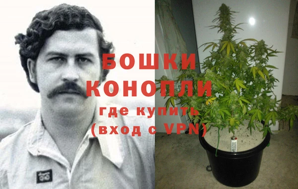 прущий лед Ельня