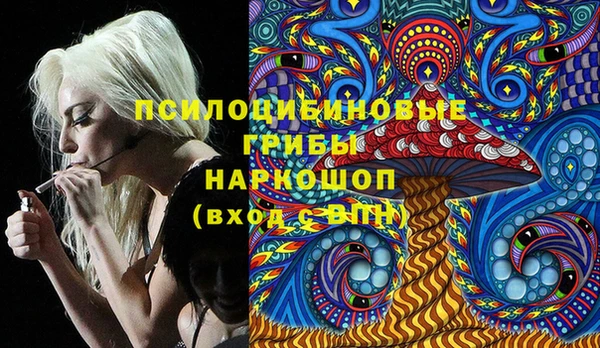 ГАЛЛЮЦИНОГЕННЫЕ ГРИБЫ Дмитриев