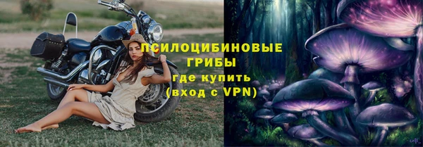 ГАЛЛЮЦИНОГЕННЫЕ ГРИБЫ Дмитриев