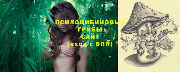ГАЛЛЮЦИНОГЕННЫЕ ГРИБЫ Дмитриев