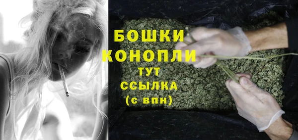 ГАЛЛЮЦИНОГЕННЫЕ ГРИБЫ Дмитриев