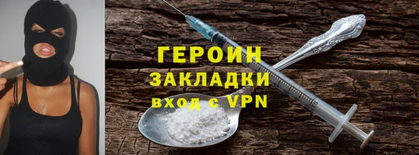 ГАЛЛЮЦИНОГЕННЫЕ ГРИБЫ Дмитриев