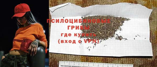 ешки Дмитров