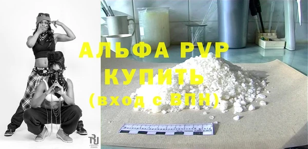 ГАЛЛЮЦИНОГЕННЫЕ ГРИБЫ Дмитриев