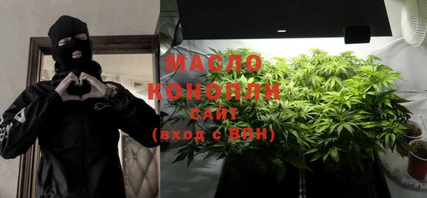 ГАЛЛЮЦИНОГЕННЫЕ ГРИБЫ Дмитриев