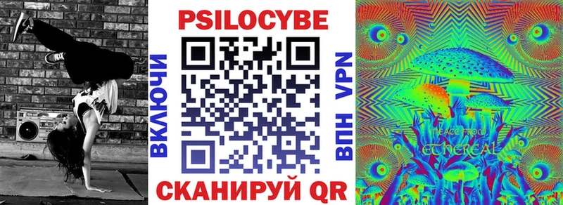 Псилоцибиновые грибы Cubensis  Купить где  Павлово 