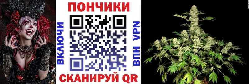Шишки марихуана тримм  Купить закладки  Павлово 
